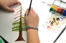 705be7d5-4c45-45cd-8b03-fc39e8913237_edited