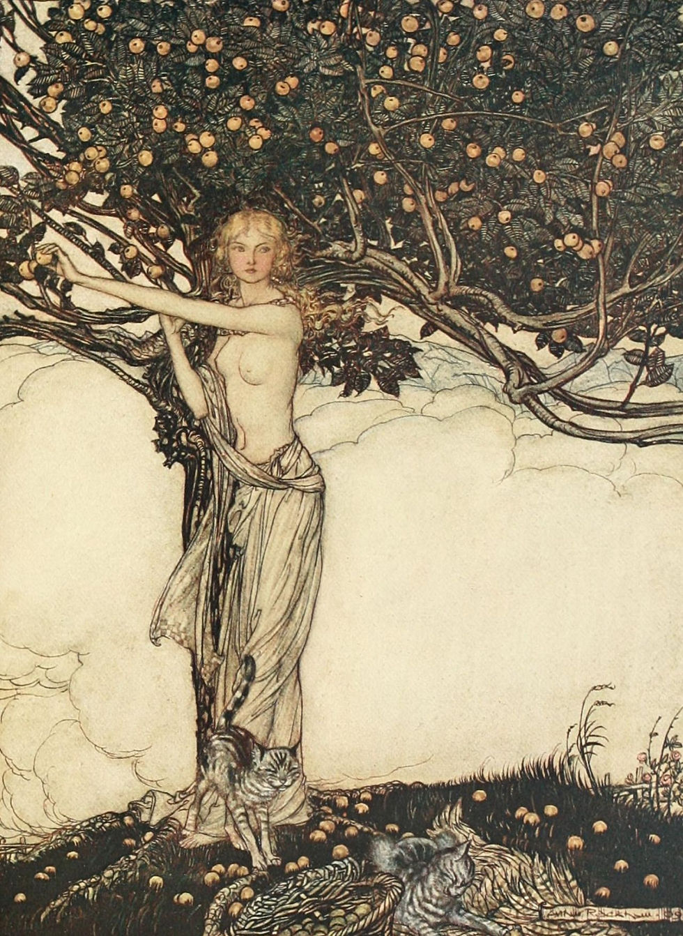 Gudinden Freja står under et æbletræ omgivet af sine katte. Wagners Freia er en blanding af den nordiske Freyja og Iðunn. Illustration af Arthur Rachel am (1867 – 1939) til Richard Wagners Das Rheingold. Wikimedia Commons