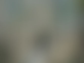 Shavuot, høstfesten og lovene