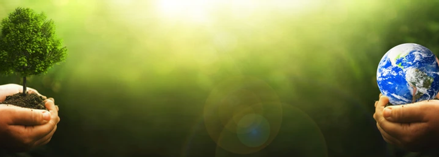 hands-holding-green-big-tree-260nw-1969149421.png