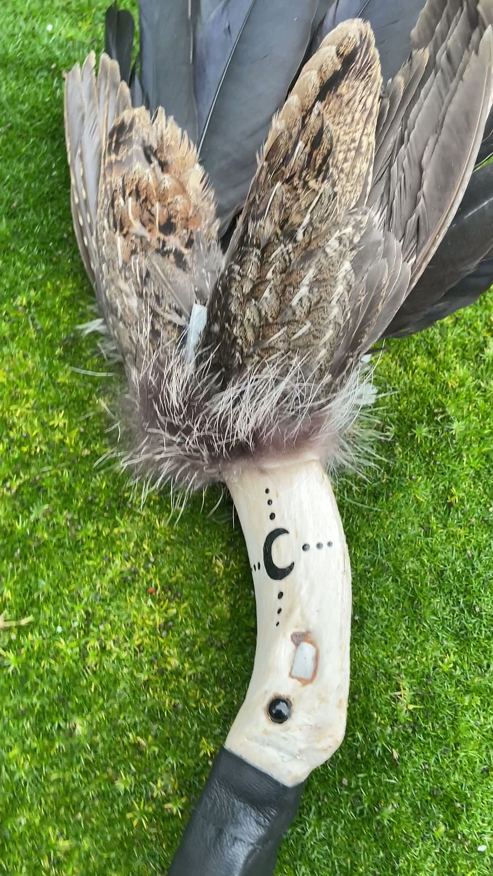 Thumbnail: Grouse & Crow Smudge Fan