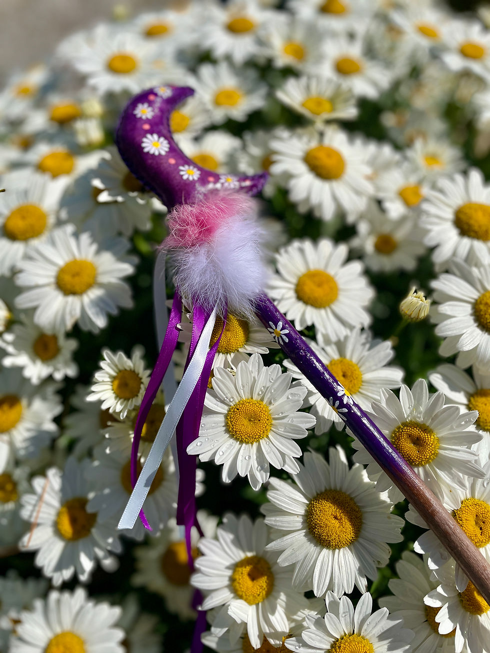 Thumbnail: Whimsy Fairy Collection