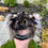Thumbnail: The Raccoon