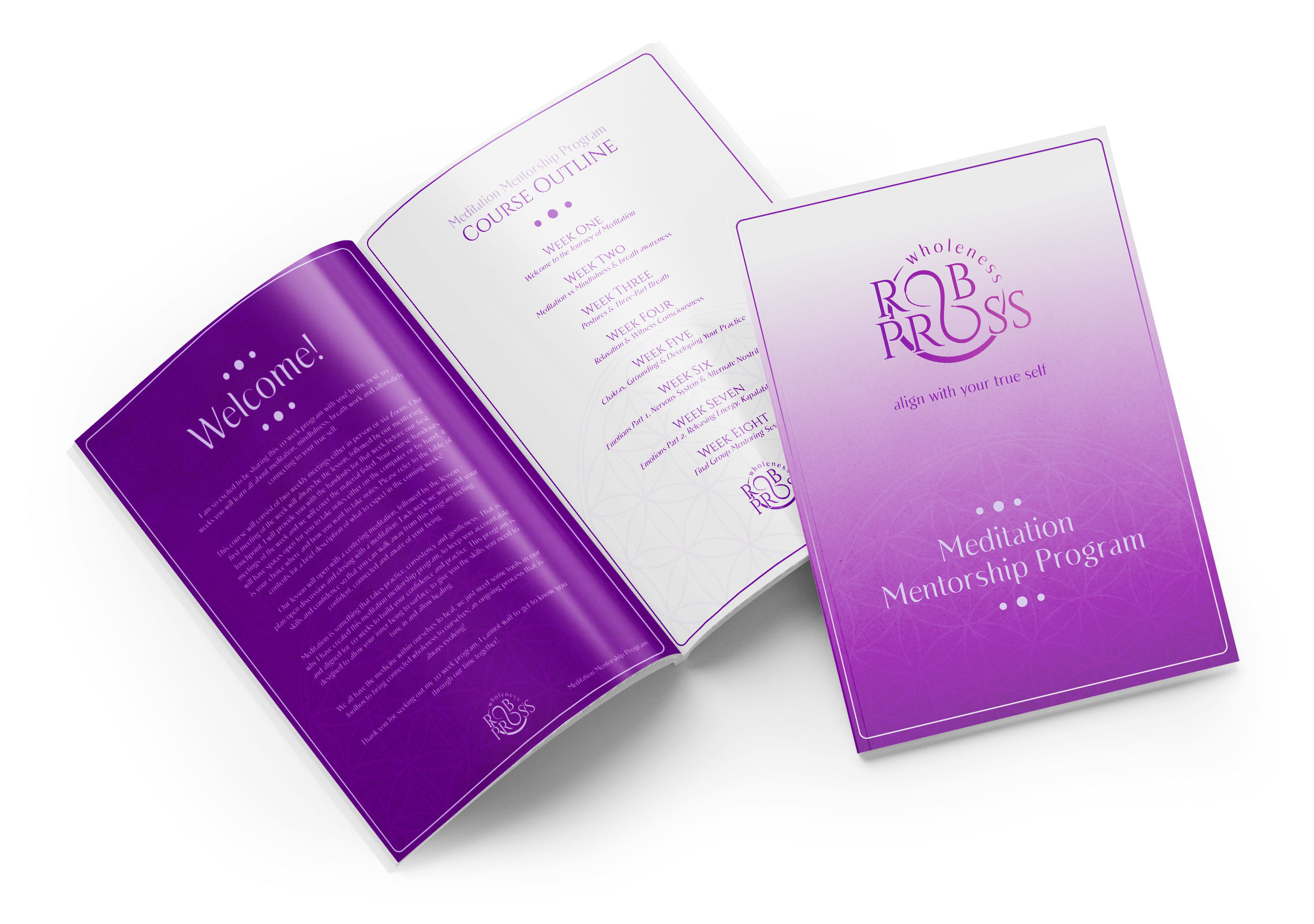 Meditation Mentorship Program  • Audio Pre-Recorded