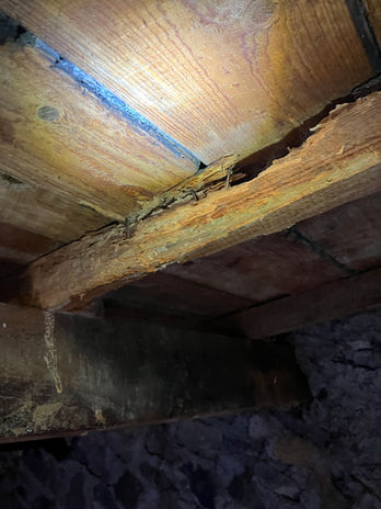 Charpente en bois dégradée