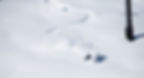 The likelihood of carving fresh tracks at Alta is high.