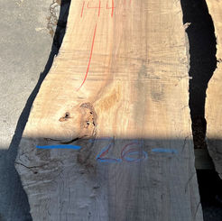 Spalted Maple D
