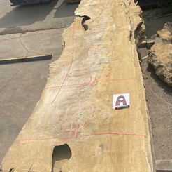 European Mappa Burl 0615A
