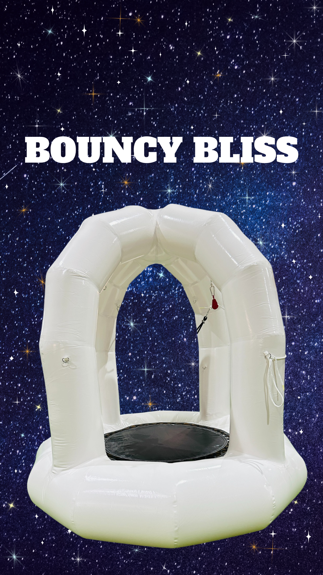 *NEW* BOUNCY BLISS