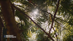 Capture d’écran 2024-02-20 à 11.03.10