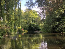 Cowley Nature Lovers Launch Petition to Protect Fragile Habitat