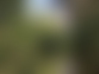 Cowley Nature Lovers Launch Petition to Protect Fragile Habitat