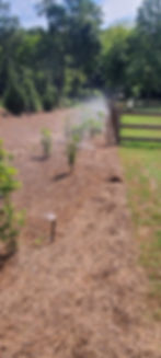 irrigation system for garden