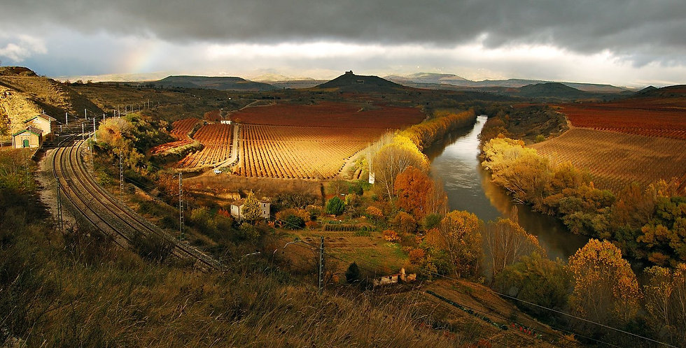 Rioja.jpeg