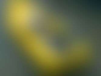 Découvrez le VASCO de la gamme Bathydrone en action