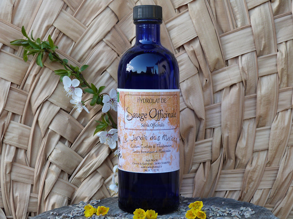 Miniature : Hydrolat de Sauge officinale