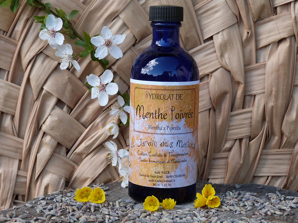 Hydrolat de Menthe poivrée