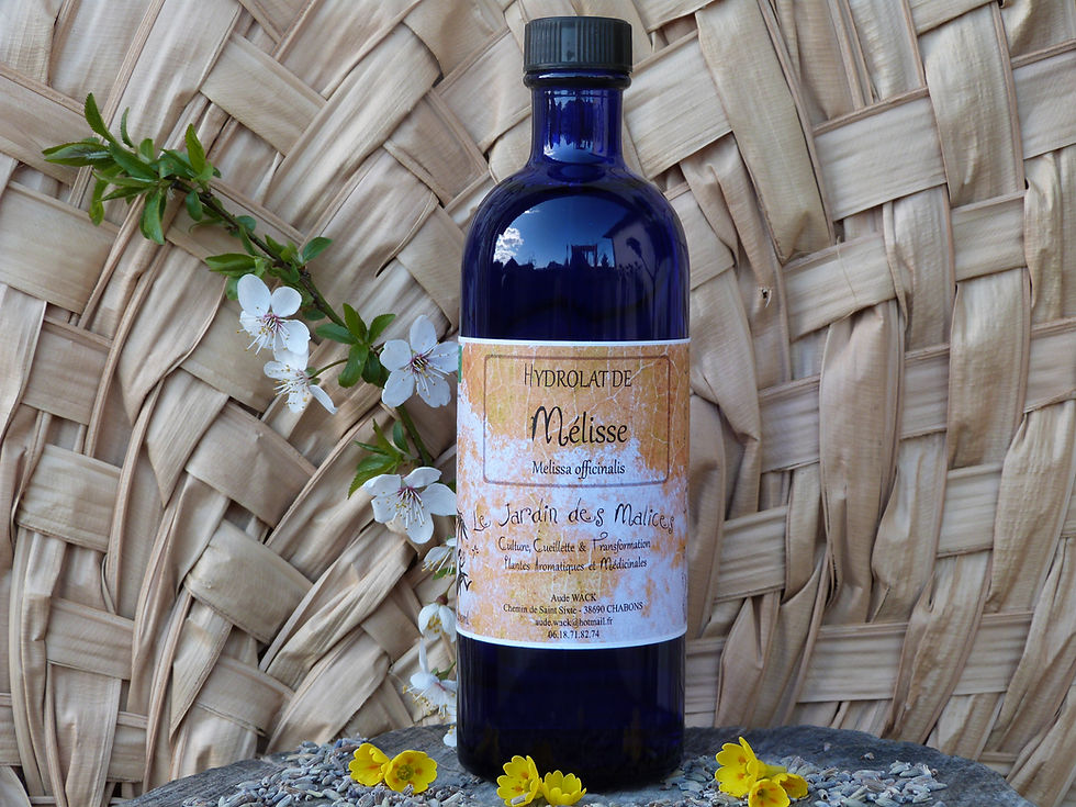 Miniature : Hydrolat de Mélisse