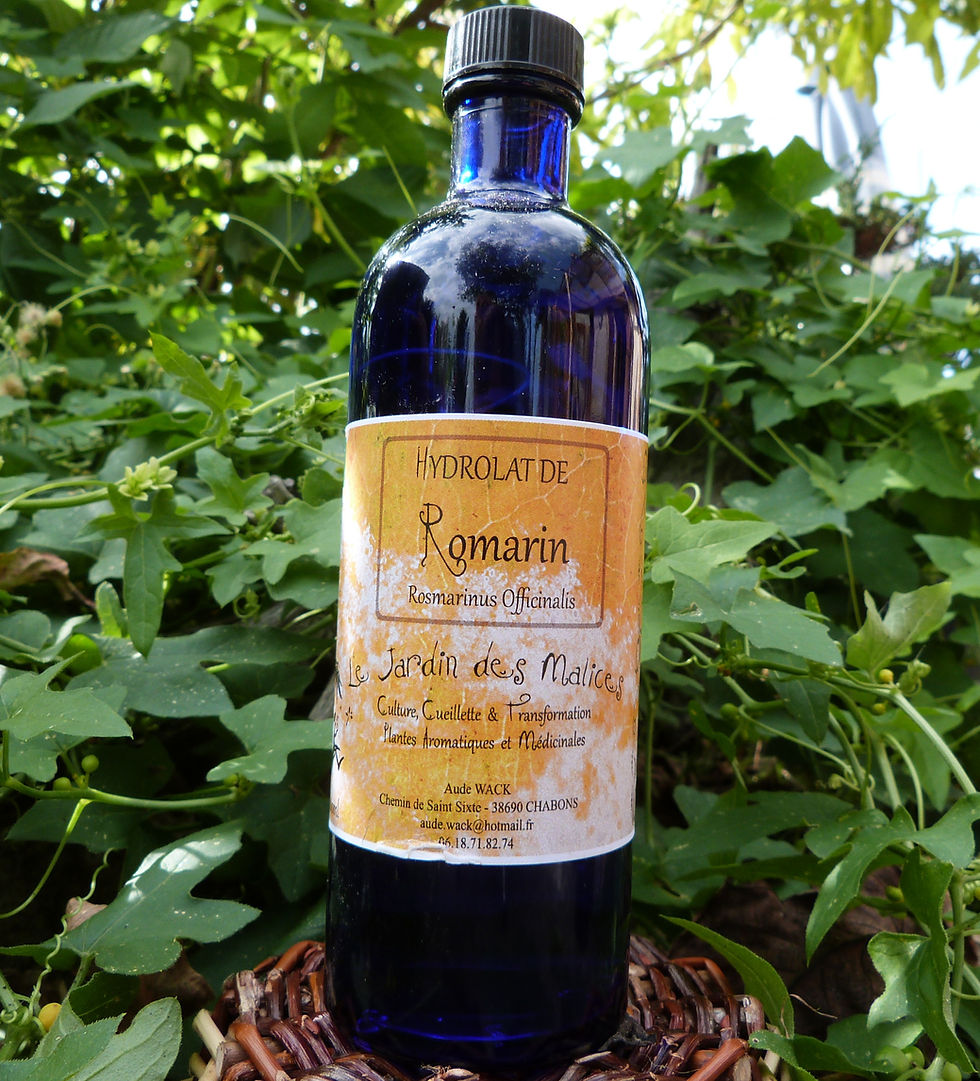 Miniature : Hydrolat de Romarin