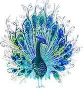 peacock2.png