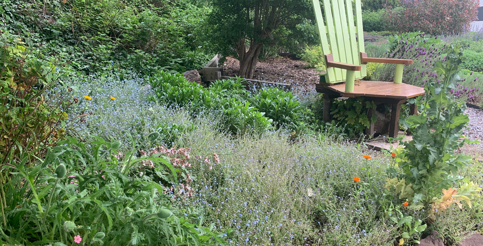 Picture of one of the places to sit and joy the peace in the NCYC Community Garden