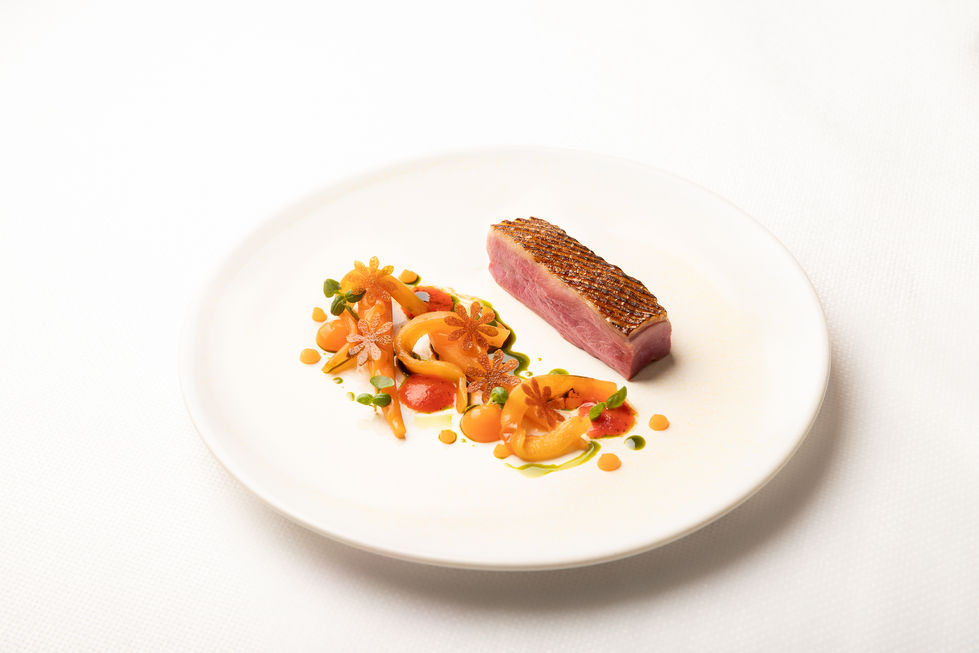 Duck breast and carrot textures
