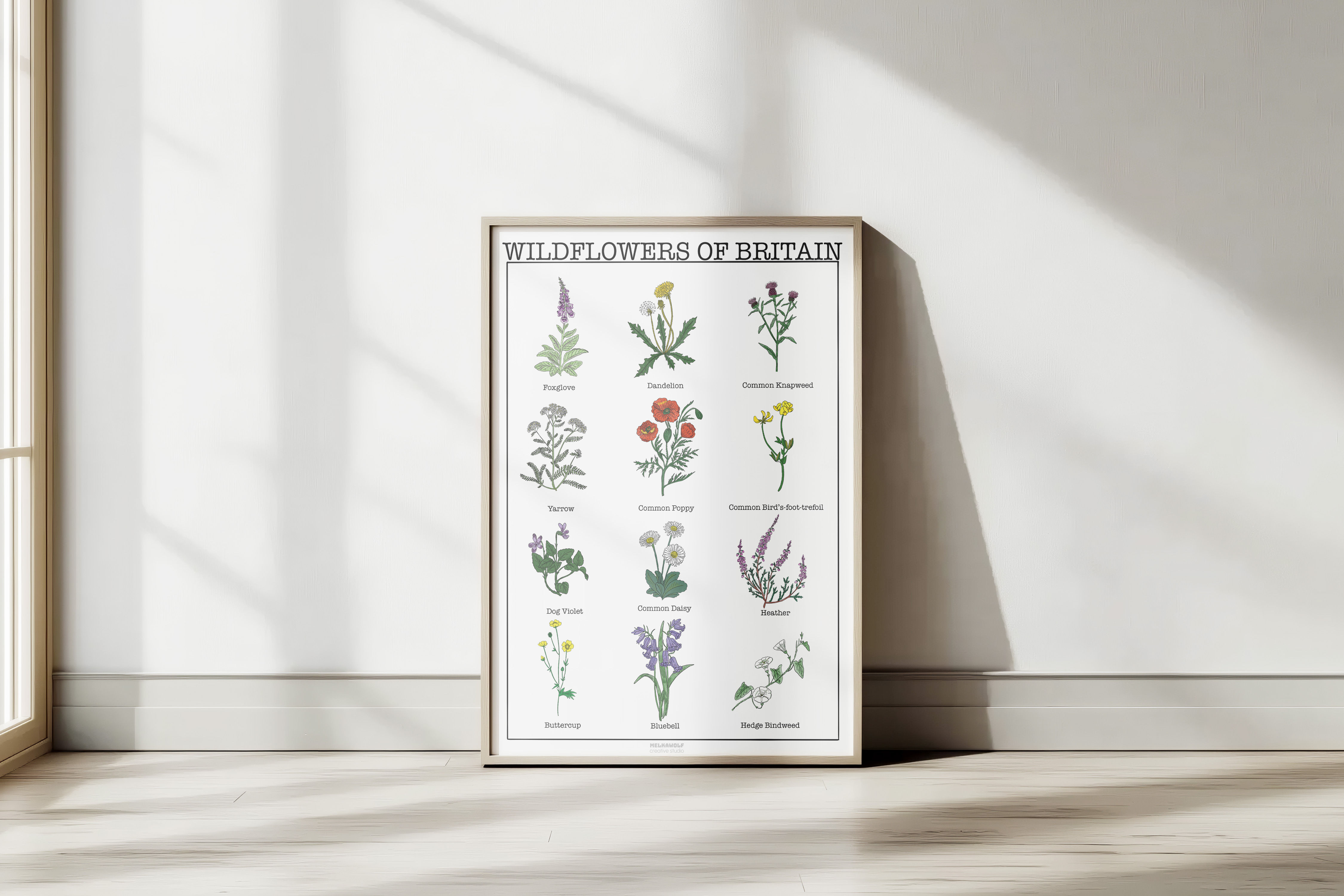 British Wildflowers A3 Poster Print