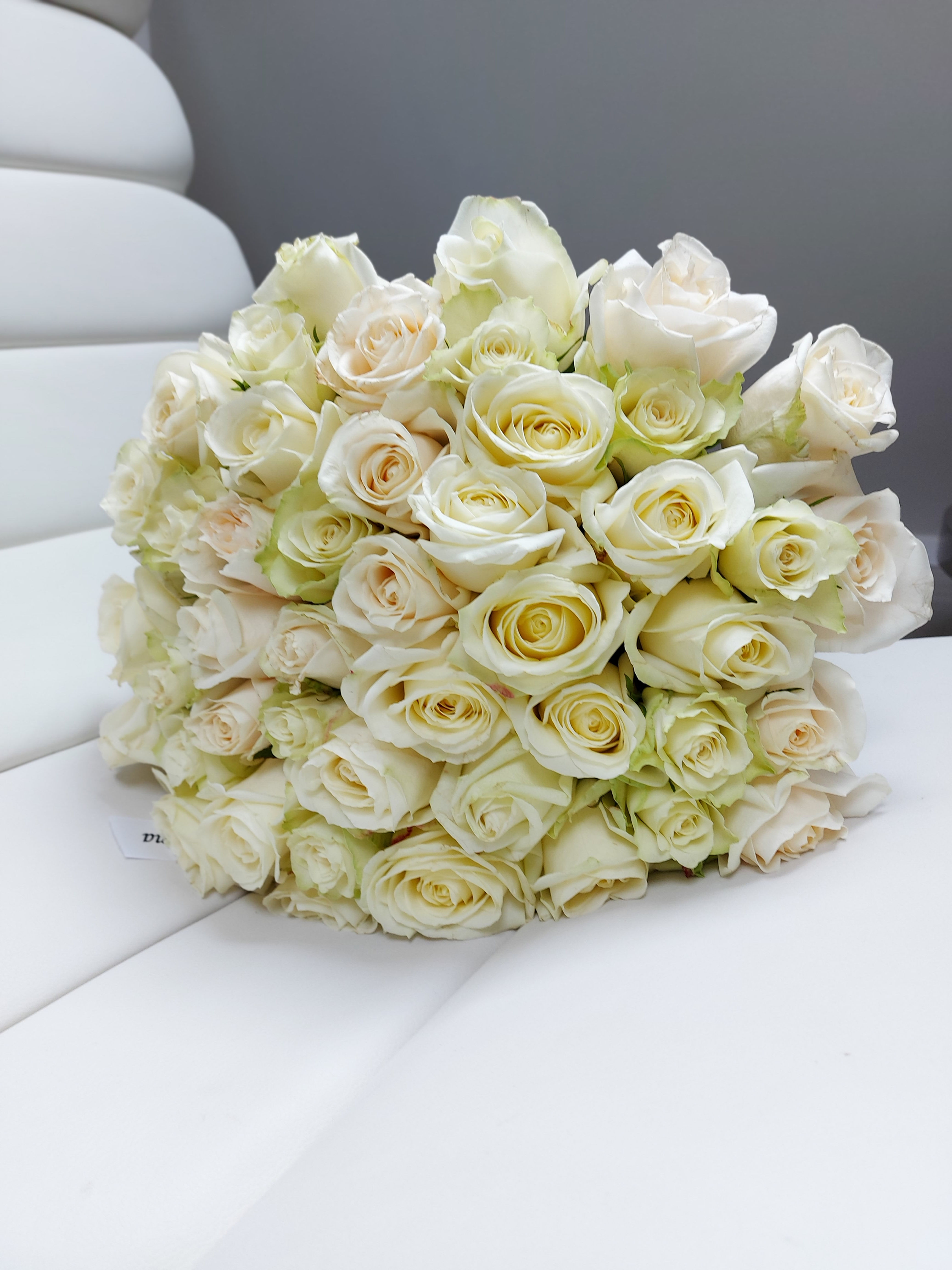 Belle from £50.00 - £150.00