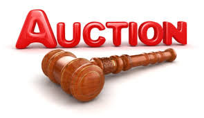 Live Zoom Auction
