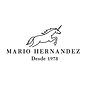 mario-hernandez-logo-el-tesoro.png