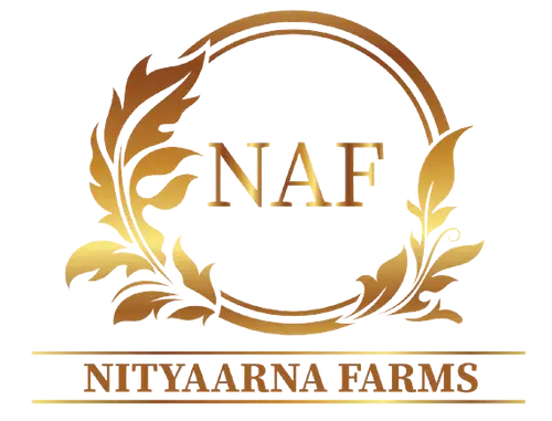 naf_logo_4__2_-02-removebg-preview