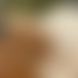 Wholesome Honey Sweetened Granola