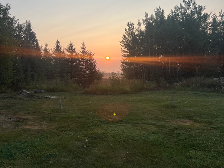 Exploring Sustainable Farming: My Journey at Tipsy Goose Farm