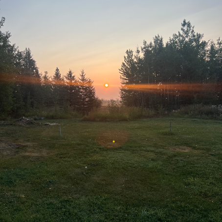 Exploring Sustainable Farming: My Journey at Tipsy Goose Farm