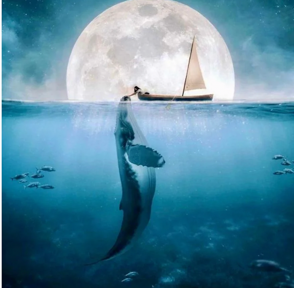 The Psychotherapeutic Process in Working with Traumatised Clients