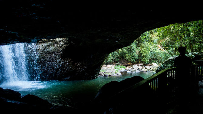 Springbrook National Park
