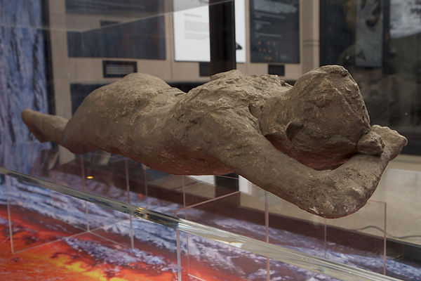 Plaster cast of Pompeii, Living World Gallery machester Museum