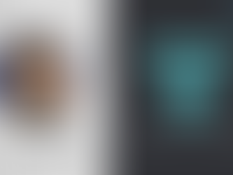 Sundaram Midcap Fund – Interview with CIO, S KrishnaKumar