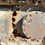 Thumbnail: 2015 CAT 311FL