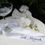 Thumbnail: Elegant White Champagne Tower Bows – Set of 5 Wedding Decorations for Brides, To