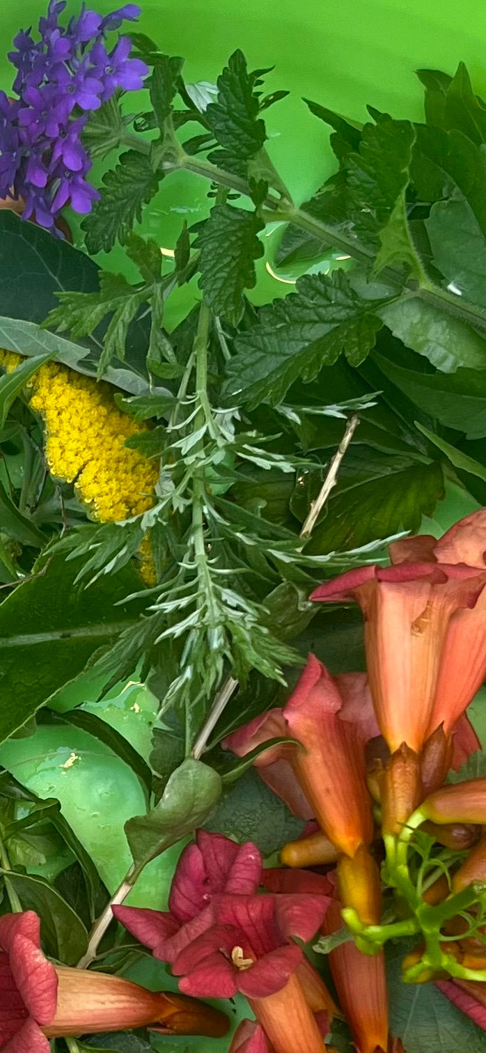 11-flowers for spiritual bath2