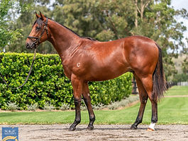 Lot 650 - Caravaggio (USA) - Poetic Diva