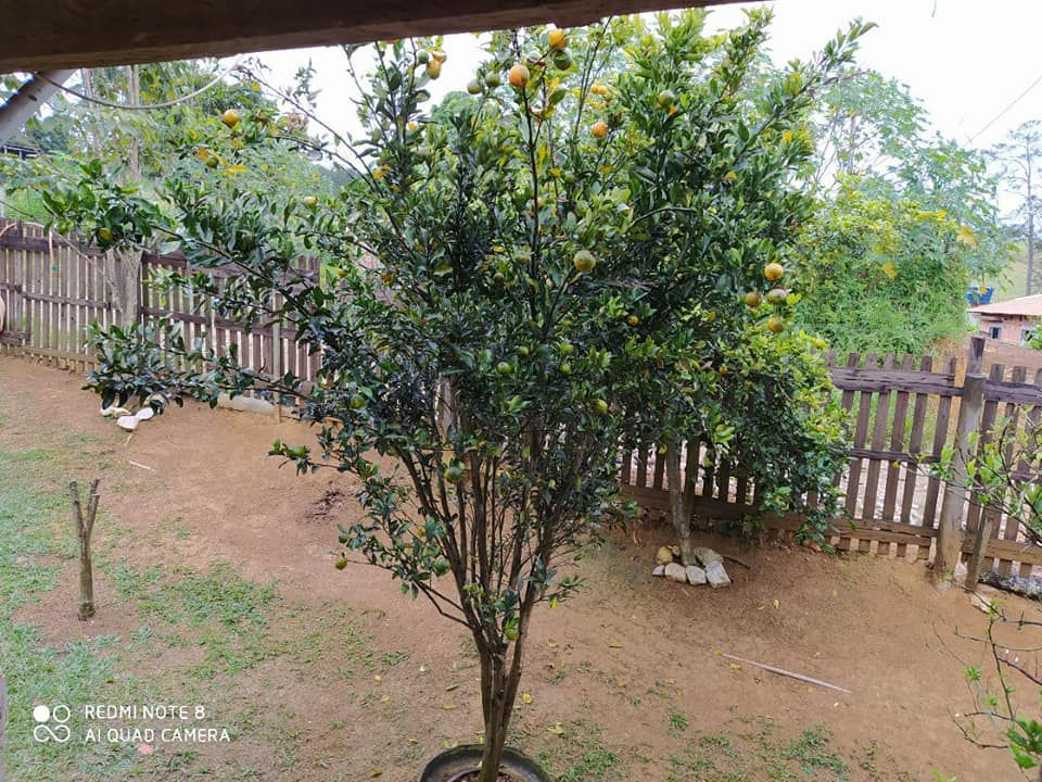 Miniatura: Ótima chácara em Arapeí - SP