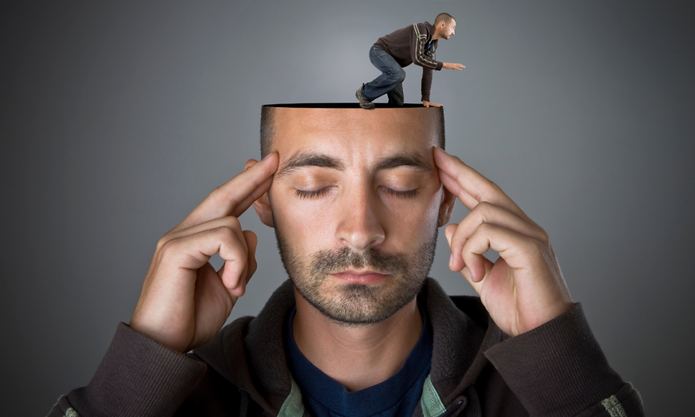 Metakognicija: inteligenca, ki vodi um in zori s srcem