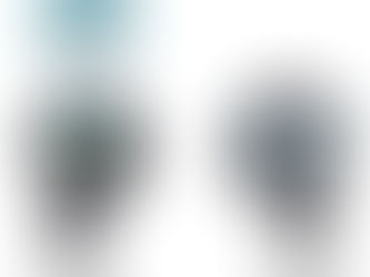 Nasveti za razvoj miselnosti rasti