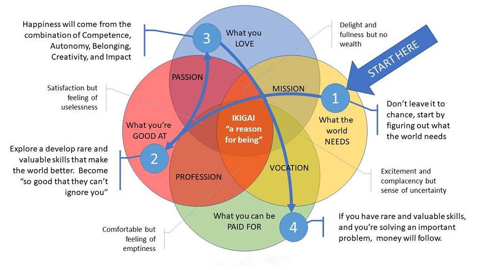 Shema Ikigai psyiq mastery