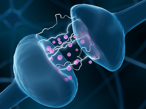 Kako vaše razmišljanje vpliva na kemijo vaših možganov