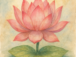 Preobrazba se redko začne v popolnem trenutku