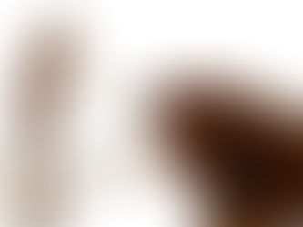 🎭 Prikrite taktike manipulatorjev: 4 znaki, da ste v stiku z manipulatorjem