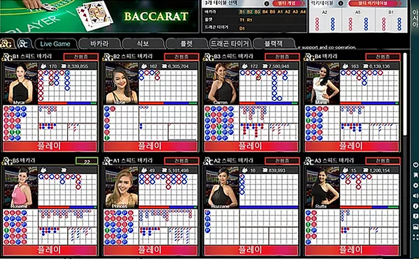 실시간바카라_호게이밍(게임).webp